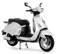 Firenze 125 ZN125T-F For Sale